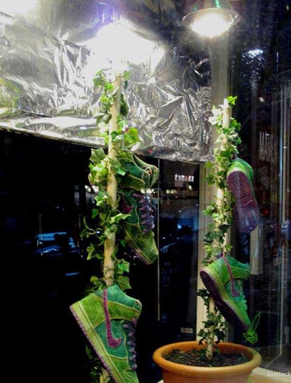 nike dunk 2012 pas cher france mode nike dunk enstock31